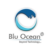 Blu Ocean Innovations pvt ltd logo - Similar company to Streamonize