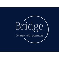 Bridge logo - Similar company to Aweh Digital