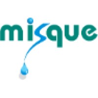 MISQUE Industrial Sistemas de Reuso logo - Similar company to Kognitiv