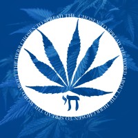 Cannabis Jew Magazine logo - Similar company to Rollcage.Ai