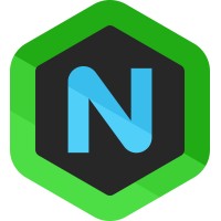 Nejcraft logo - Similar company to Frostwood Interactive