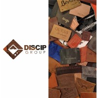 Discip Group logo - Similar company to Pragati Foundation