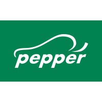 pepper logo - Similar company to Recoautos