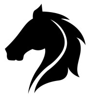 Fierce Mustang Media logo - Similar company to Vinyl Wellness