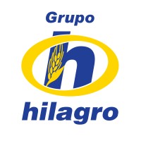 Grupo Hilagro logo - Similar company to Transagro