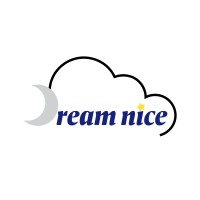 Dreamnice logo - Similar company to Opsxpress