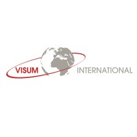 Visum International logo - Similar company to Tht New Cool
