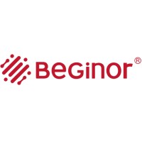Shanghai Beginor Chemical Technology Co., Ltd. logo - Similar company to Kinghelm