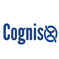 Cogniso logo - Similar company to Barteos