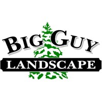 Big Guy Landscape