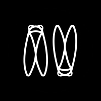 Cicada Co. logo - Similar company to Lemondrop Home