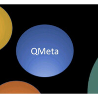 QMeta logo - Similar company to Macroware