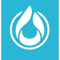 IntHealth logo - Similar company to Sesa Technology Ltd