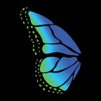 Blue Monarch Management logo - Similar company to Trido Energy Services
