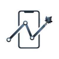Chinar Libertas logo - Similar company to Iconpeak
