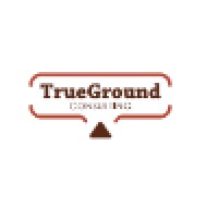 TrueGround Consulting logo - Similar company to Talic Investments Group (Pty) Ltd