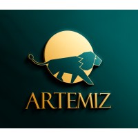 Artemiz Strategic Advisory logo - Similar company to Kick Motion