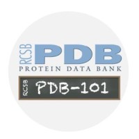 RCSB Protein Data Bank logo - Similar company to Rosetta Commons