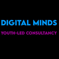 Digital Minds Consulting logo - Similar company to Digital Era Solution