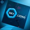Skylions Studios logo - Similar company to Easy Teach Wf