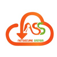 NETSECURE SYSTEM logo - Similar company to Acedevel, Llc