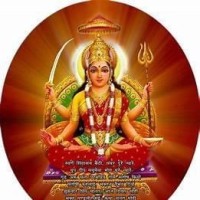JAI SANTOSHI MATA HYDRO CONSTRUCTION PRIVATE LIMITED logo - Similar company to Bocconi Tv