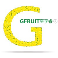 GFRUIT Creative Works (至孚睿创新工场) logo - Similar company to The Seller Process