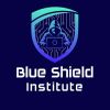 BlueShield Institute logo - Similar company to Mission It Education