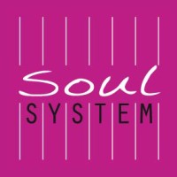 Soul System Menskracht logo - Similar company to Merel Foundation