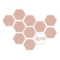 XiCompany logo - Similar company to Xicom
