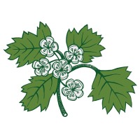 Hawthorn Press Ltd logo - Similar company to Alpha Books