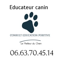 CONSULT EDUCATION POSITIVE