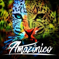 Amazônico Restaurante logo - Similar company to Bar E Restaurante Violeta