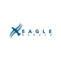 Eagle Nebula Inc logo - Similar company to Advatech Security & Surveillance