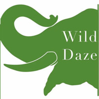 Wild Daze logo - Similar company to Mythify