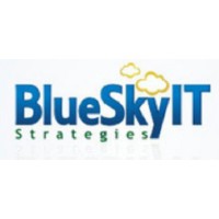 Blue Sky IT Strategies logo - Similar company to Third Tier