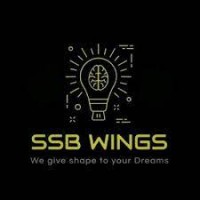 SSBWINGS Pvt Ltd logo - Similar company to Kidsnagri