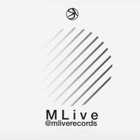 MLive Records logo - Similar company to Mlive Software