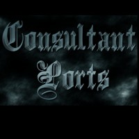 Consultant Ports | كنسلتينت فورت logo - Similar company to Consult Ant