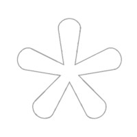 Silver Lining Bikinis logo - Similar company to Nero Printing