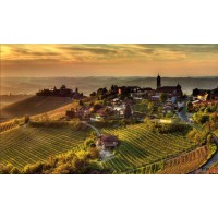 Shop vini delle Langhe & Roero Barolo logo - Similar company to Vini Crociani