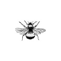 Bumblebee Marketing Agency logo - Similar company to Bumblebee Communications, Llc