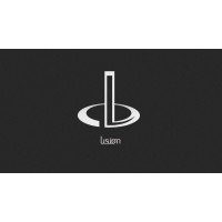 Shanghai Lusion Computer Software Co. Ltd. logo - Similar company to Lapin Logic Ltd