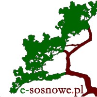 e-sosnowe.pl logo - Similar company to Blest™
