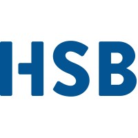 Hsb Hans Schmid Ag