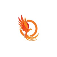 Aim Protection Services logo - Similar company to Soldersmith Intelligence - Machine Vision & Ai Solutions