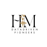 DataDriven Pioneers logo - Similar company to Peakscope Solutions