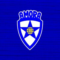 Amora FC - Futebol, SAD logo - Similar company to Clube Desportivo Cova Da Piedade