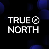TRUE NORTH logo - Similar company to Alphabrand.Io