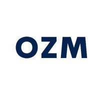 OZM Consulting logo - Similar company to Echo 7 Foxtrot, Llc